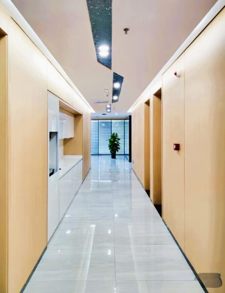 Modern hallway with glossy floor and plant.